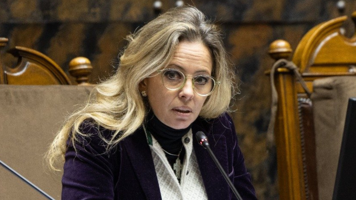 Imagen para: ¡ÚLTIMA HORA! PNL propone escuchar latidos del feto antes de un aborto: ¿Es esto el fin de las tres causales en Chile?